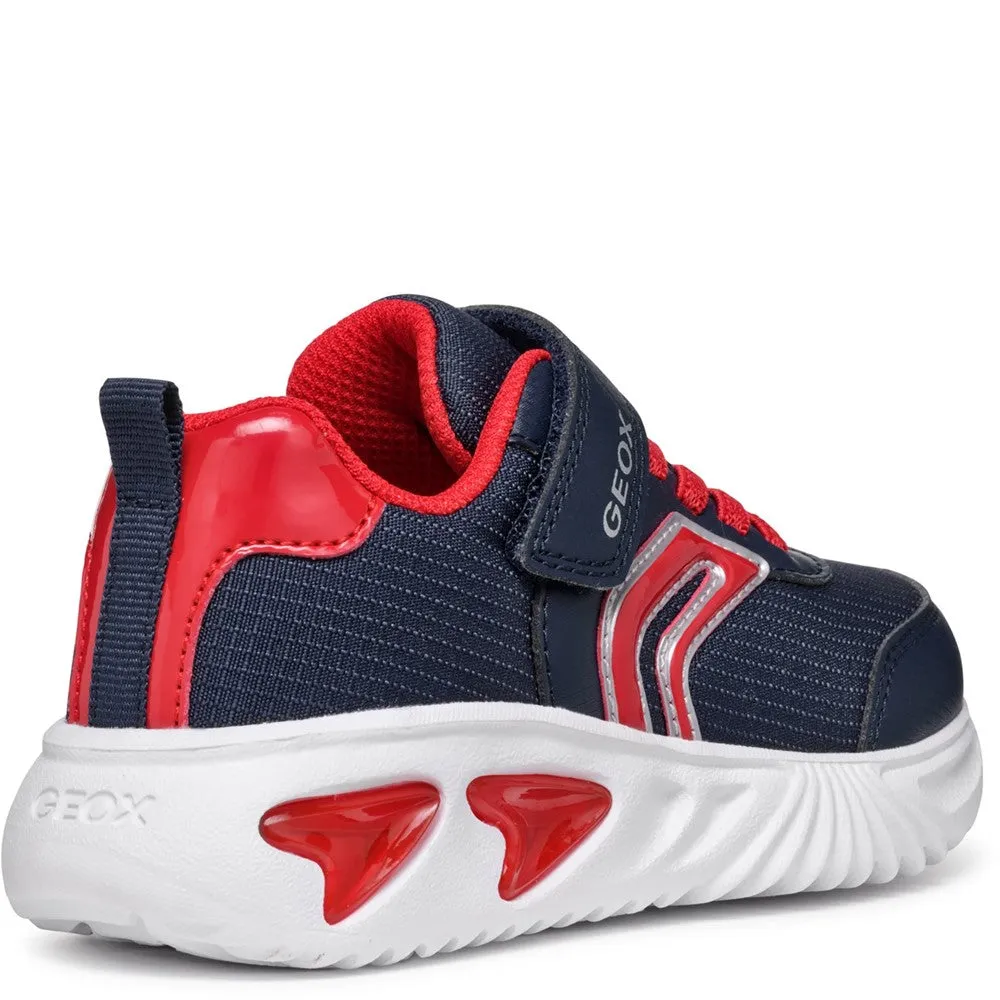 Geox J Assister B. C Junior Sneakers