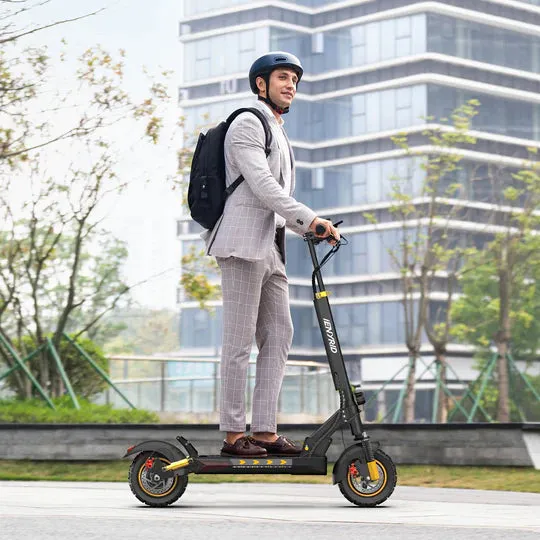 iENYRID M4 Pro S  48V/12.5Ah 800W Electric Scooter