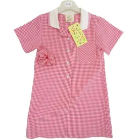 Pink Gingham Dress