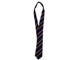 Victoria College Belfast Junior Tie